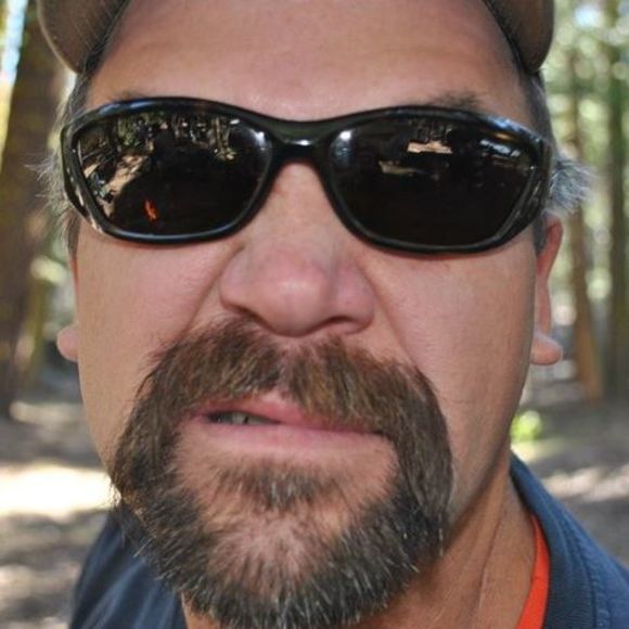 Meet your Posher, Steve - Picture 1 of 1